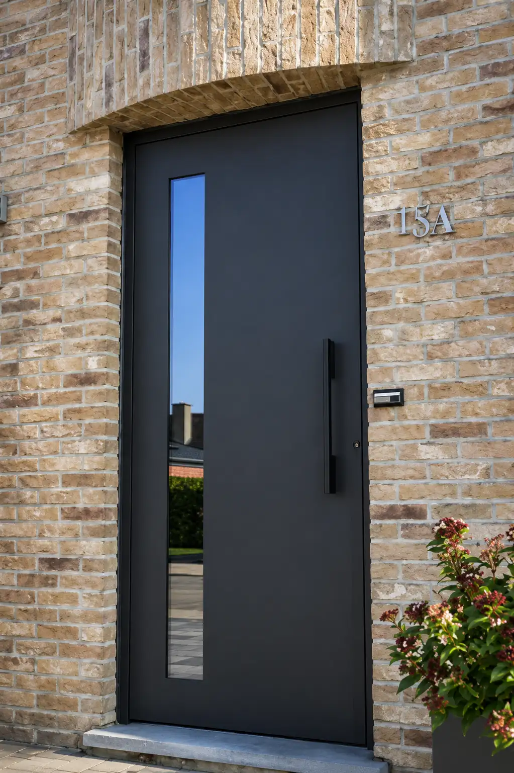 Puerta de acceso